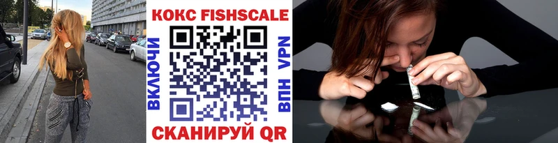 COCAIN Fish Scale Ершов