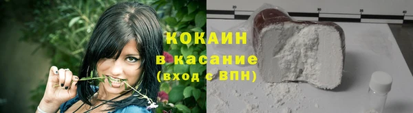 прущие грибы Белоозёрский