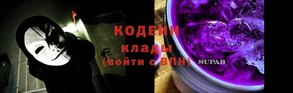соль ск Богданович