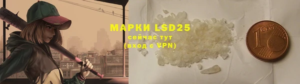 прущие грибы Белоозёрский