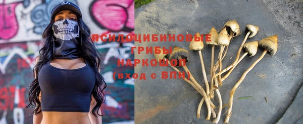 первитин Богородск