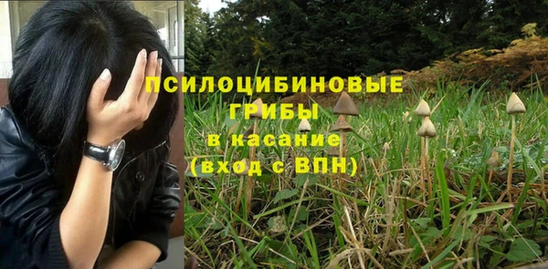 apvp Беломорск