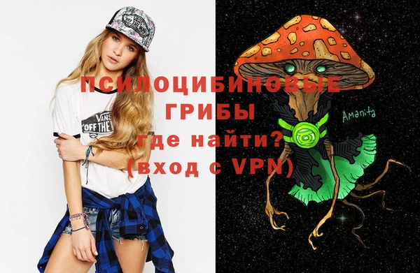 прущие грибы Белоозёрский