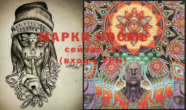 прущие грибы Белоозёрский