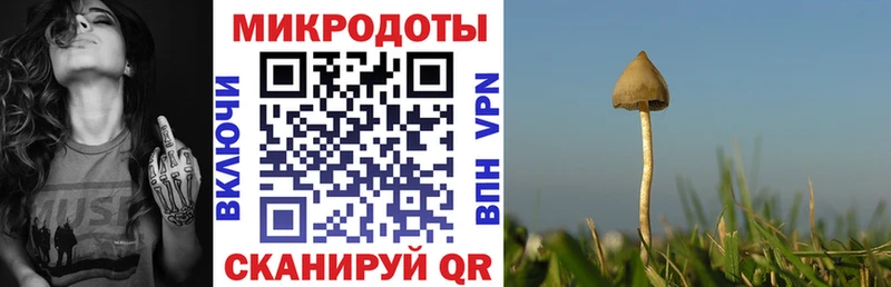 Галлюциногенные грибы ЛСД  Ершов 